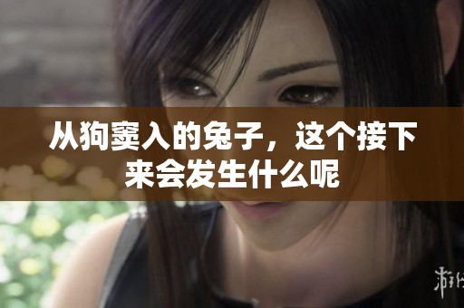 从狗窦入的兔子，这个接下来会发生什么呢