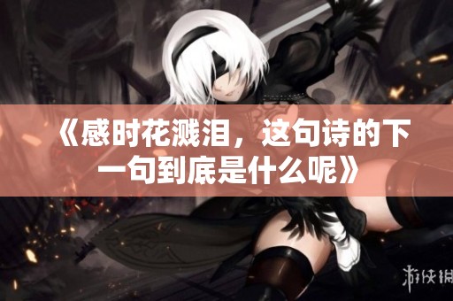 《感时花溅泪，这句诗的下一句到底是什么呢》