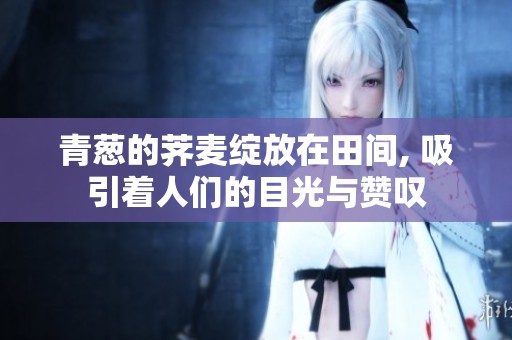 青葱的荠麦绽放在田间, 吸引着人们的目光与赞叹