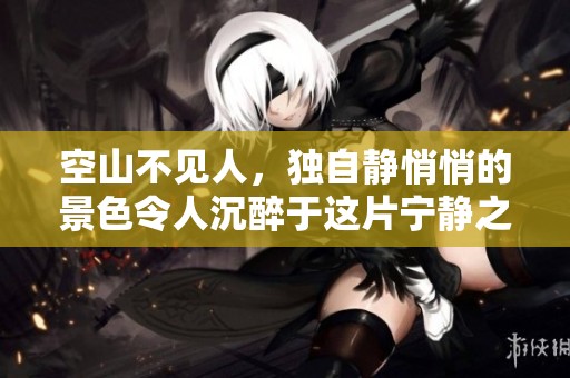 空山不见人，独自静悄悄的景色令人沉醉于这片宁静之中