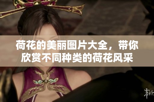 荷花的美丽图片大全，带你欣赏不同种类的荷花风采