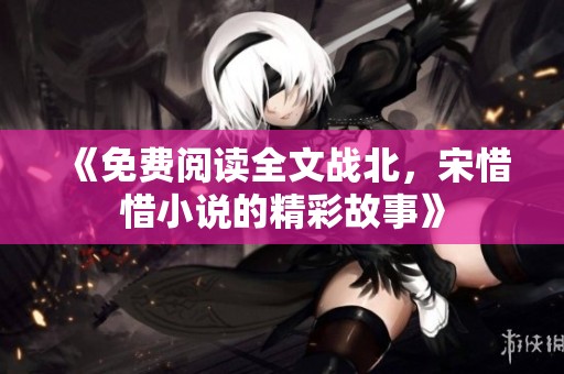 《免费阅读全文战北，宋惜惜小说的精彩故事》