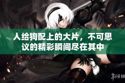 人给狗配上的大片，不可思议的精彩瞬间尽在其中