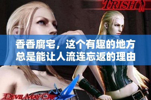 香香腐宅，这个有趣的地方总是能让人流连忘返的理由是什么呢？