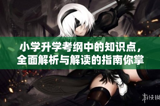 小学升学考纲中的知识点，全面解析与解读的指南你掌握了吗