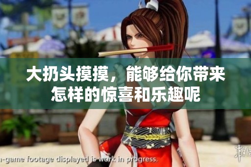 大扔头摸摸，能够给你带来怎样的惊喜和乐趣呢