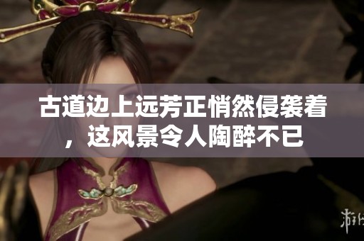 古道边上远芳正悄然侵袭着，这风景令人陶醉不已